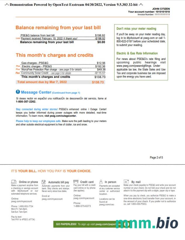 USA New York PSEG rachunek za media, Word i PDF template, 5 strony 2